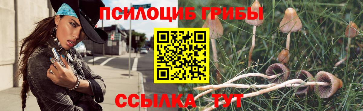 Галлюциногенные грибы ЛСД  купить  цена  Вичуга  Галлюциногенные грибы Psilocybine cubensis  Вход с VPN 